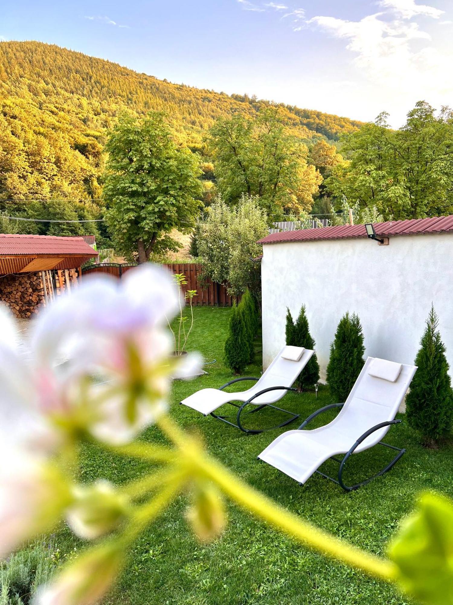 Casa Alexandra Séjour à la ferme Gales